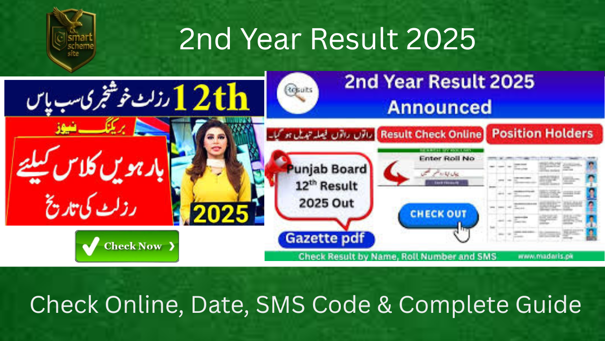 You are currently viewing 2nd Year Result 2025 – Check Online, Date, SMS Code & Complete Guide