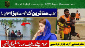 Read more about the article Punjab Government Flood Relief Measures 2025: Comprehensive Aid, Compensation, and Rehabilitation