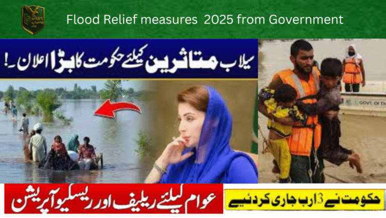 Punjab Government Flood Relief Measures 2025: Comprehensive Aid, Compensation, and Rehabilitation