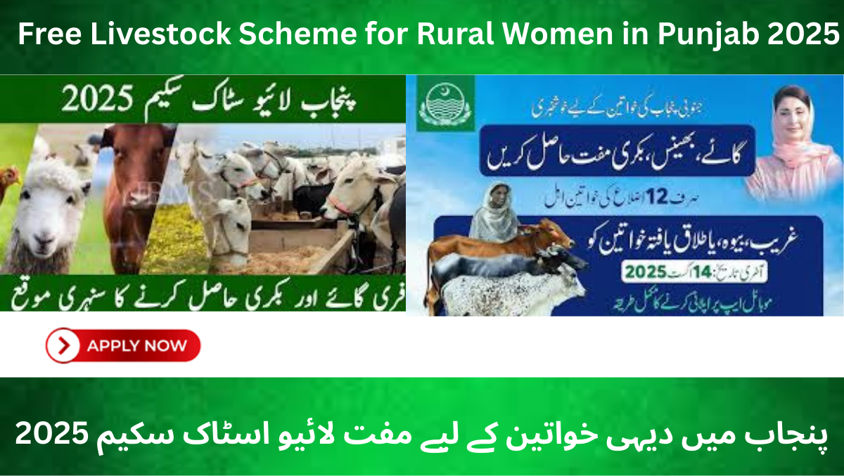 You are currently viewing Free Livestock Scheme for Rural Women in Punjab 2025 – Complete Guide to Registration, Eligibility & Benefits