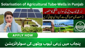 Read more about the article Solarisation of Agricultural Tube-Wells in Punjab 2025 – Affordable Energy for Farmers & Sustainable