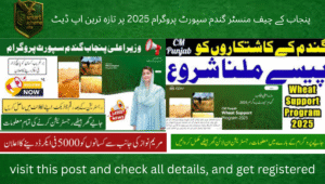 Read more about the article Latest Update on Punjab Chief Minister Wheat Support Program 2025 – Rs. 5,000 Per Acre Assistance for Farmers