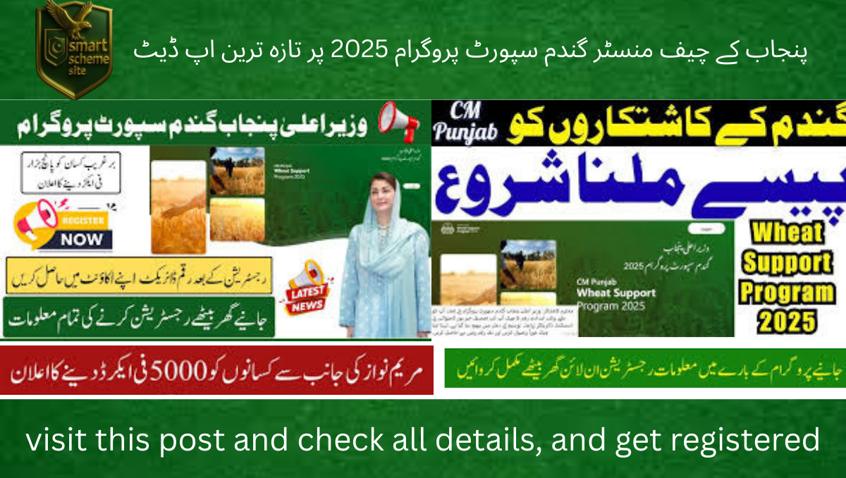 You are currently viewing Latest Update on Punjab Chief Minister Wheat Support Program 2025 – Rs. 5,000 Per Acre Assistance for Farmers